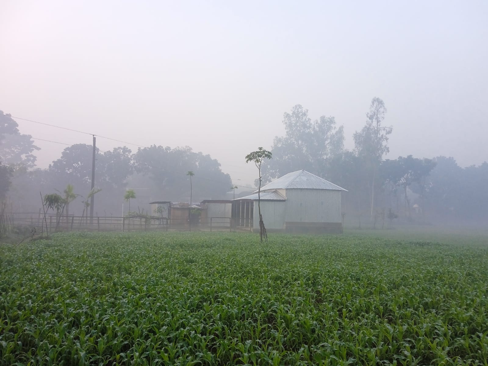 ০৪ ডিসেম্বর, ২০২৫