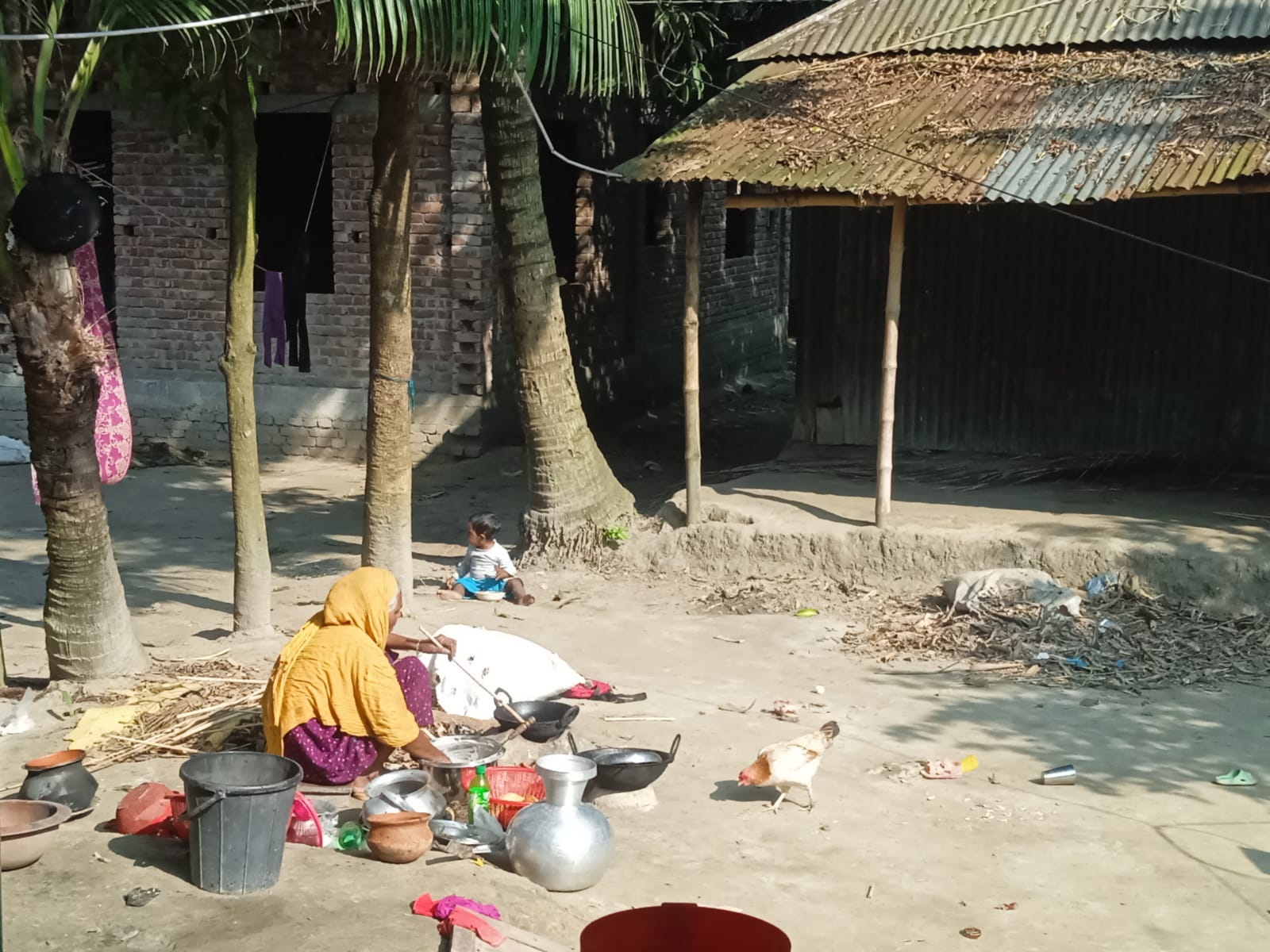  শীতের সকাল