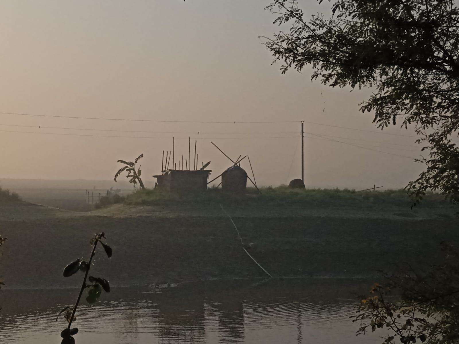 শীতের সকাল পাবনা। 