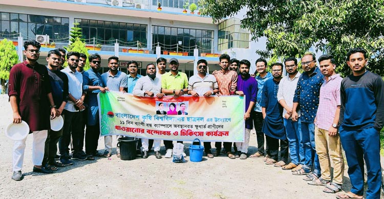 ফাঁকা ক্যাম্পাসে অসহায় প্রাণীদের পাশে বাকৃবি ছাত্রদল