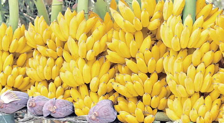 নরসিংদীর হারানো ঐশ্বর্যের গল্প