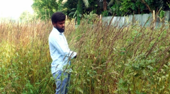 ৫ হাজার টাকা খরচে লাখ টাকার স্বপ্ন শিমুলের