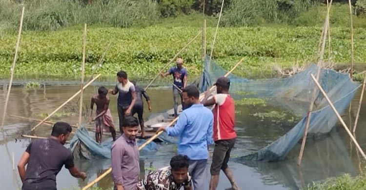 তিতাসে অভিযান, সাড়ে চার হাজার মিটার রিং জাল ধ্বংস