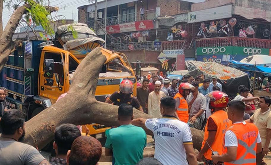চলন্ত ট্রাকের ওপর ভেঙে পড়ল কৃষ্ণচূড়ার ডাল
