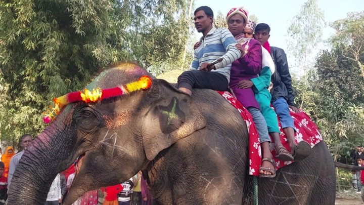 মায়ের স্বপ্ন পূরণে হাতির পিঠে চড়ে বিয়ে করলেন যুবক