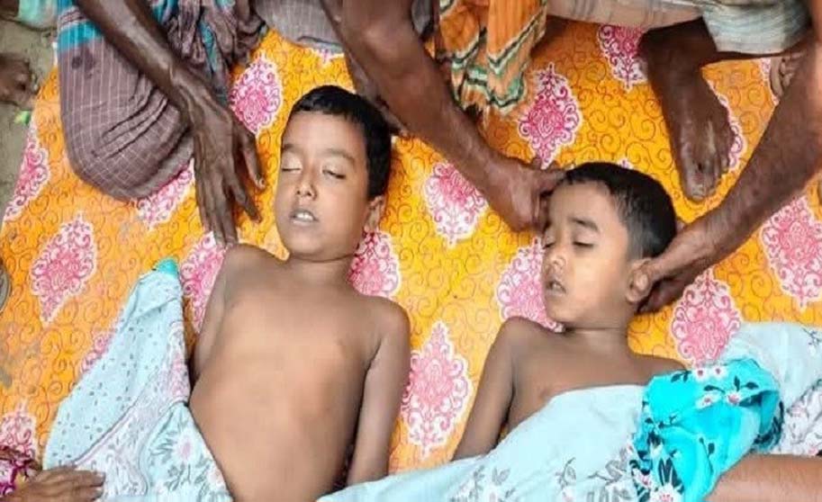 লালমোহনে পানিতে ডুবে দুই ভাইয়ের মৃত্যু