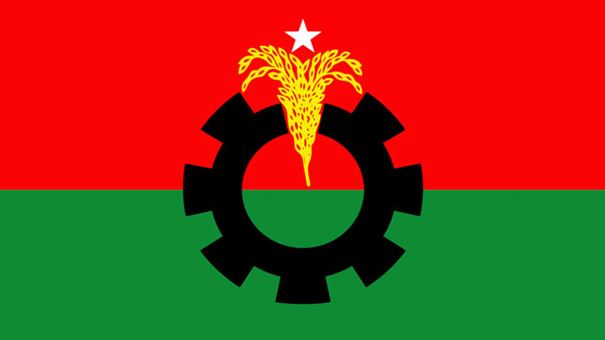 বাংলাদেশ জাতীয়তাবাদী দল বিএনপির লোগো। ছবি- সংগৃহীত