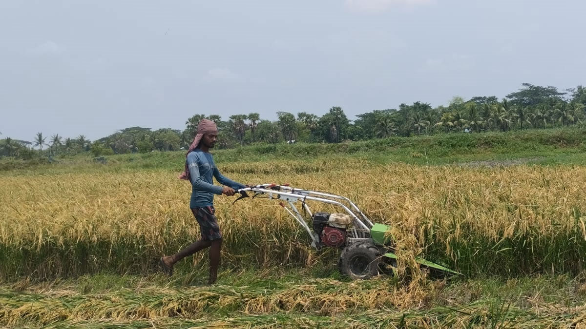 বাগেরহাটে ১৫শ থেকে ২ হাজার টাকায়ও মিলছে না দিনমজুর 