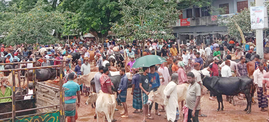 টানা বন্ধের পর চালু হলো সাতমাইল পশুর হাট