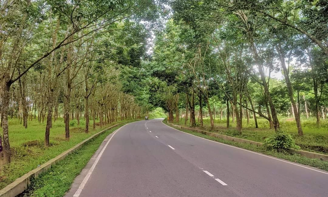 ফটিকছড়ির চোখ ধাঁধানো সেলফি রোড