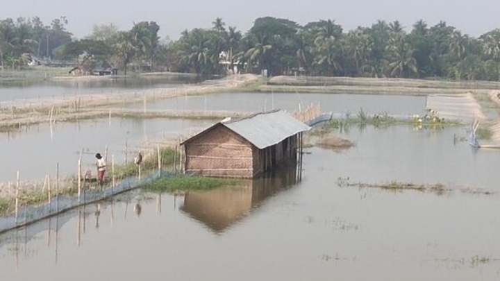 পল্লী বিদ্যুৎ সমিতির সিদ্ধান্তে ডুমুরিয়ায় বোরো চাষ অনিশ্চিত