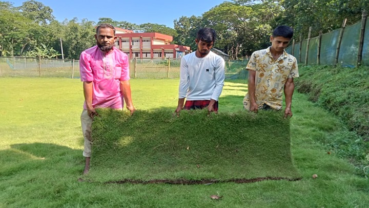 লন কার্পেট ঘাস চাষ করে কৃষকের আয় মাসে লাখ টাকা