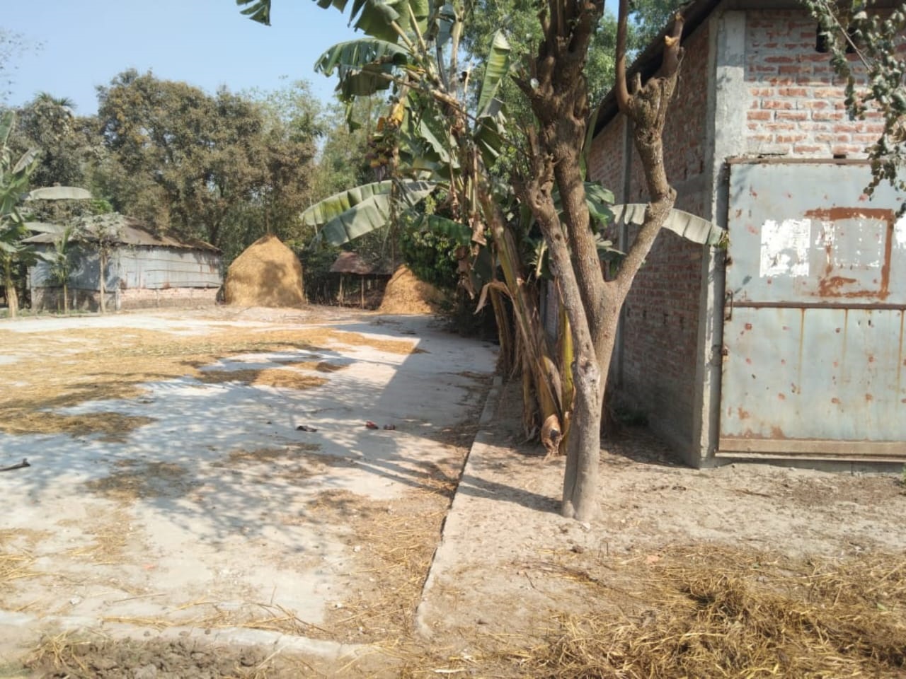 কৃষকের জমি দখল করে আ’লীগ নেতার চাতাল নির্মাণ
