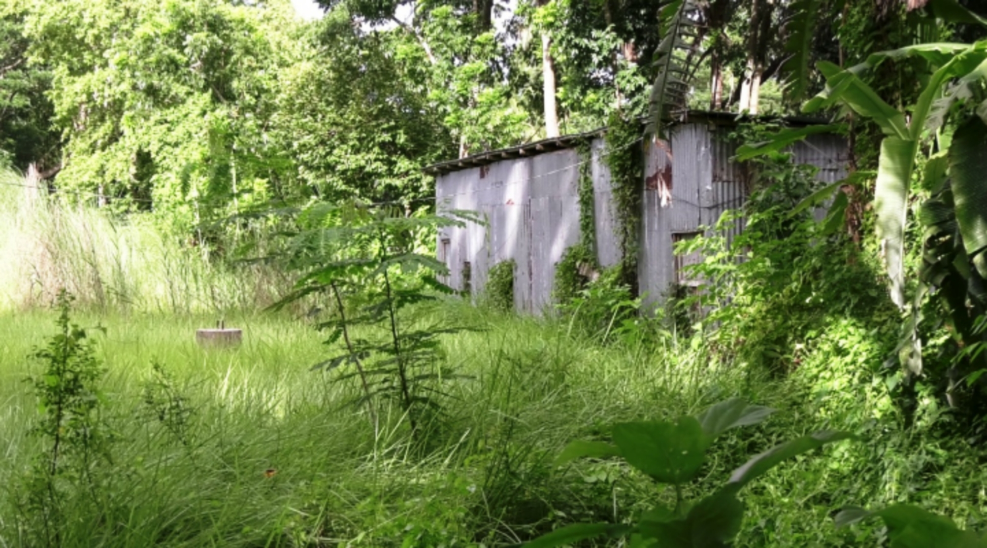 ৫ বছরেও নির্মাণ হয়নি মডেল মসজিদ