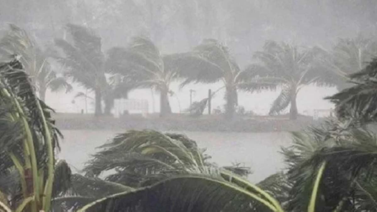 ছবি- সংগৃহীত