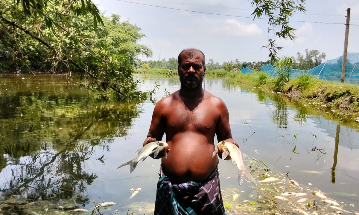 ছবি- রূপালী বাংলাদেশ