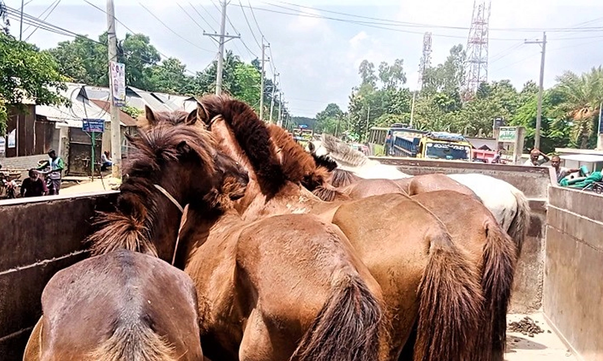 ছবি- রূপালী বাংলাদেশ