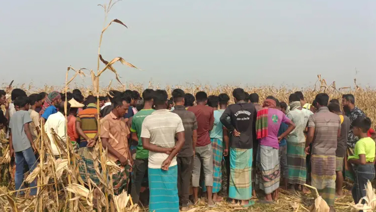 চুয়াডাঙ্গায় ভুট্টাখেত থেকে যুবকের লাশ উদ্ধার