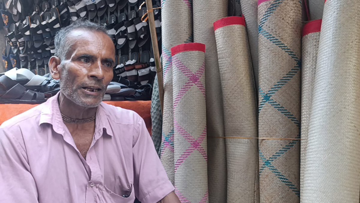 বিলুপ্তির পথে শীতল পাটি