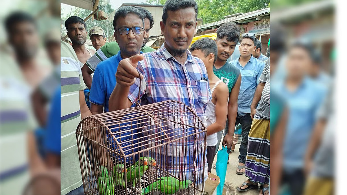 ফেসবুকে পোস্ট দিয়ে পাখি বিক্রি, বিক্রেতা গ্রেপ্তার