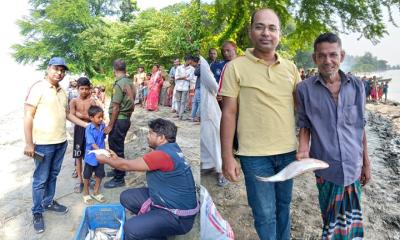 মা ইলিশ নিধনের অপরাধে ১৪ জনকে কারাদণ্ড