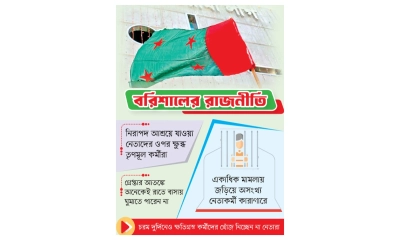 শীর্ষ নেতাদের আচরণে বিরক্ত  তৃণমূল আওয়ামী লীগ