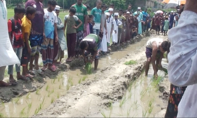 চাঁপাইনবাবগঞ্জে সড়কে ধানের চারা রোপণ করে প্রতিবাদ