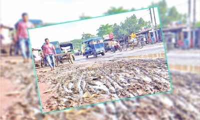 টানা বর্ষণে ঢাকা-বরিশাল  মহাসড়ক বেহাল