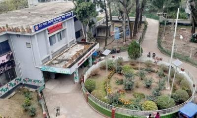 বড়াইগ্রামে বিএনপি-আ.লীগ সংঘর্ষে আহত ১০