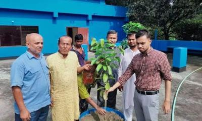 শিবগঞ্জ পৌরসভা কার্যালয় ছাদে বাগান করার নির্দেশ ডিসির