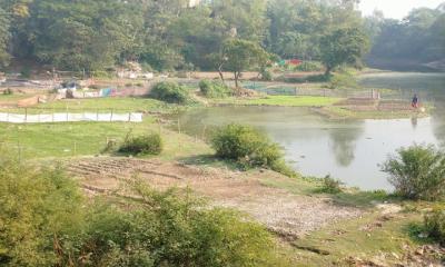 দুপচাঁচিয়ার নাগর নদ শীর্ণ খালে পরিণত হয়েছে