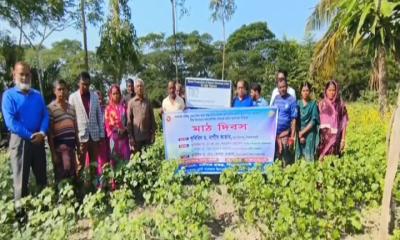 কৃষকদের কেনাফ চাষে উদ্ধুদ্ধ করতে মাঠ দিবস