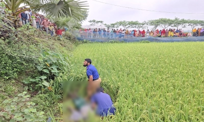শেরপুরে ধানখেতে পড়ে ছিল অজ্ঞাত ব্যক্তির মরদেহ