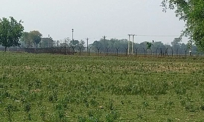 এসএসসি পরীক্ষার্থীসহ দু‘জনকে ধরে নিয়ে গেল বিএসএফ