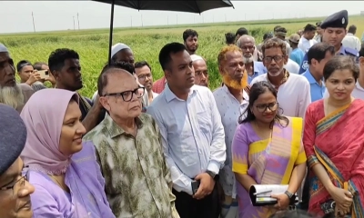 দেশে খাদ্য নিরাপত্তা নিয়ে কোনো শঙ্কা নেই: খাদ্য উপদেষ্টা