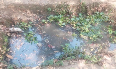 ঠাকুরগাঁওয়ে নর্দমায় পড়ে শিশুর মৃত্যু