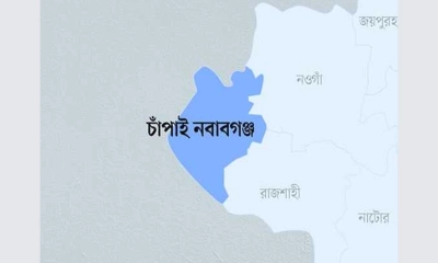 চাঁপাইনবাবগঞ্জ সীমান্তে ককটেল-পেট্রোল বোমা উদ্ধার