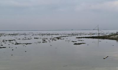 সিরাজগঞ্জে হু হু করে বাড়ছে যমুনার পানি