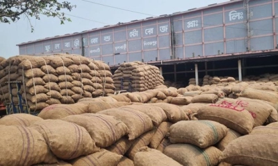 ফুলবাড়ীতে ৮০ শতাংশ আলু রাখার হিমাগার নেই