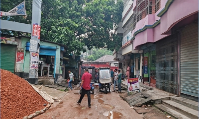 সড়কের বেহাল দশায়  নাকাল শেরপুরবাসী