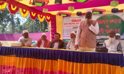 নলডাঙ্গায় জামায়াতের আলেম ওলামা ও সুধী সমাবেশ