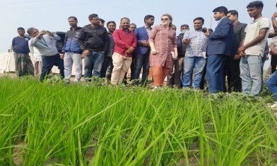 নলডাঙ্গায় মার্কিন প্রতিনিধি দলের হালতিবিল পরিদর্শন