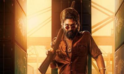 ‘পুষ্পা ২’-এর প্রিমিয়ারে নারীর মৃত্যু, আল্লু অর্জুনের ২৫ লাখ রুপি সহায়তা