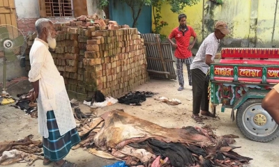 ‘সরকার বললেন চমড়া ১২০০ টাকা, বাজারে এসে দেখি ৪০০ টাকা’
