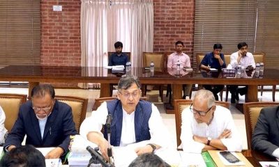 সংবিধান সংস্কার প্রস্তাবের ১৬টিতে দ্বিমত বিএনপির: সালাহউদ্দিন আহমেদ