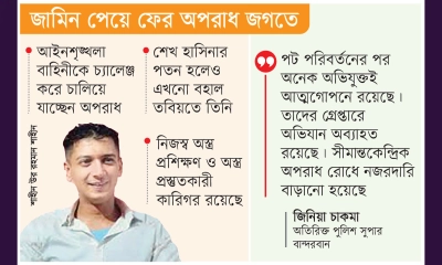 সীমান্তে শাহীনের অপরাধ সাম্রাজ্য