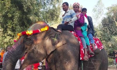 মায়ের স্বপ্ন পূরণে হাতির পিঠে চড়ে বিয়ে করলেন যুবক