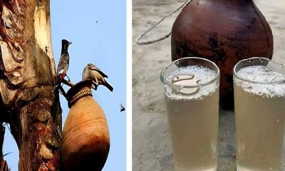 খজেুরের কাঁচা রস খেয়ে একই পরিবারের ৫ জন হাসপাতালে