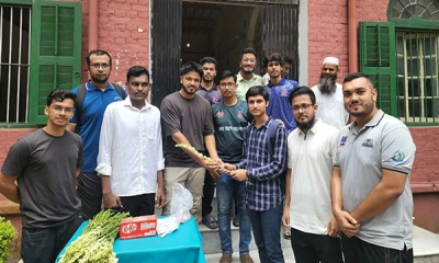 ঢাবির ২০২৪-২০২৫ শিক্ষার্থীদের কলম ফুল চকলেট দিয়ে বরণ করল ছাত্রদল
