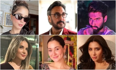 পাকিস্তানি কয়েক ডজন সেলিব্রিটির অ্যাকাউন্ট ব্লক করল ভারত